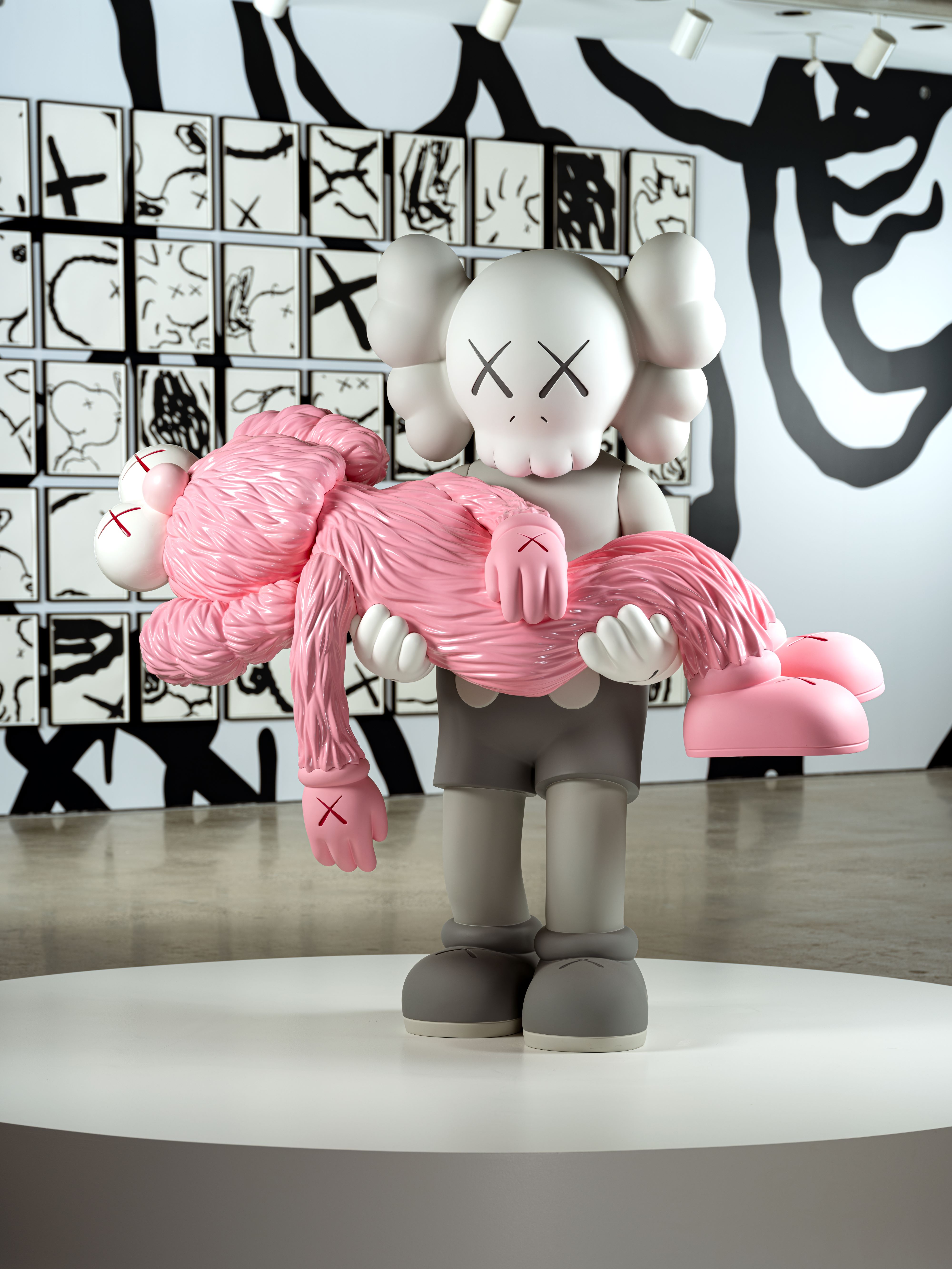 The Kaws Art Collection