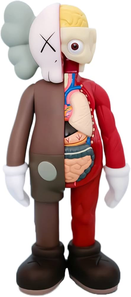 Kaws collectibles upgrade