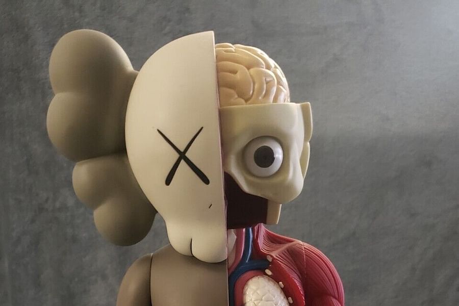 Dissected KAWS Companion fan art