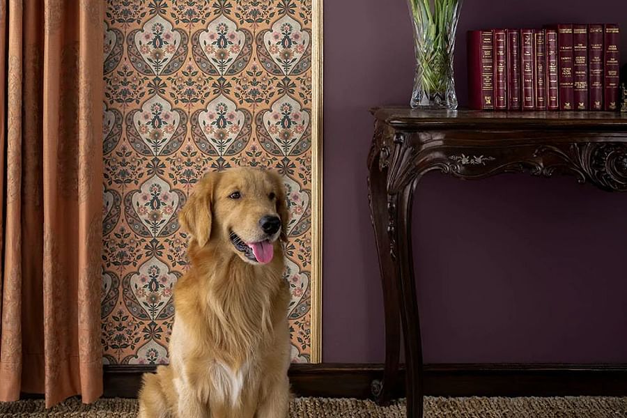 customizable wallpaper