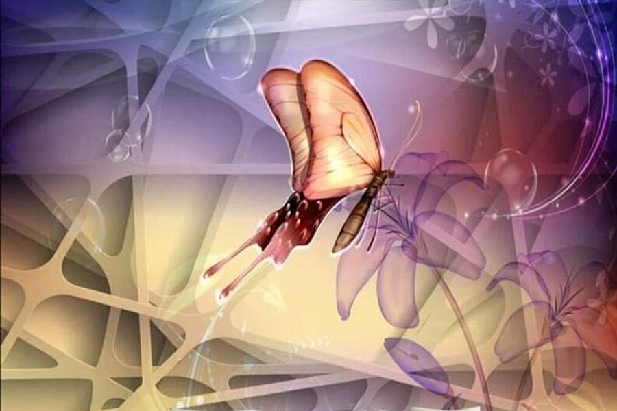 interactive wallpaper design