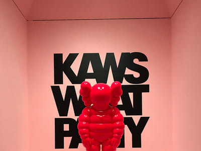 The Impact of Kaws Art on Street Style